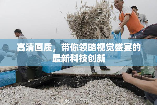 高清画质，带你领略视觉盛宴的最新科技创新