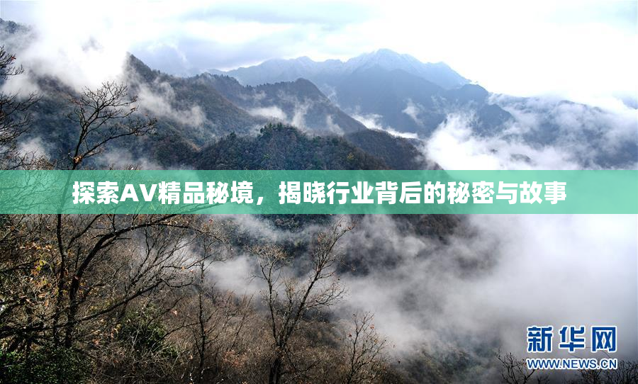 探索AV精品秘境，揭晓行业背后的秘密与故事