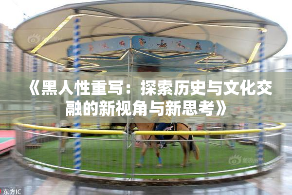 《黑人性重写：探索历史与文化交融的新视角与新思考》