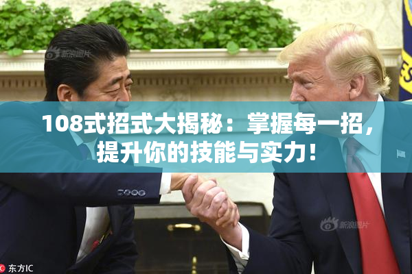 108式招式大揭秘：掌握每一招，提升你的技能与实力！