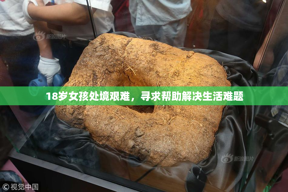 18岁女孩处境艰难，寻求帮助解决生活难题