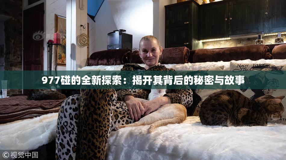 977碰的全新探索：揭开其背后的秘密与故事