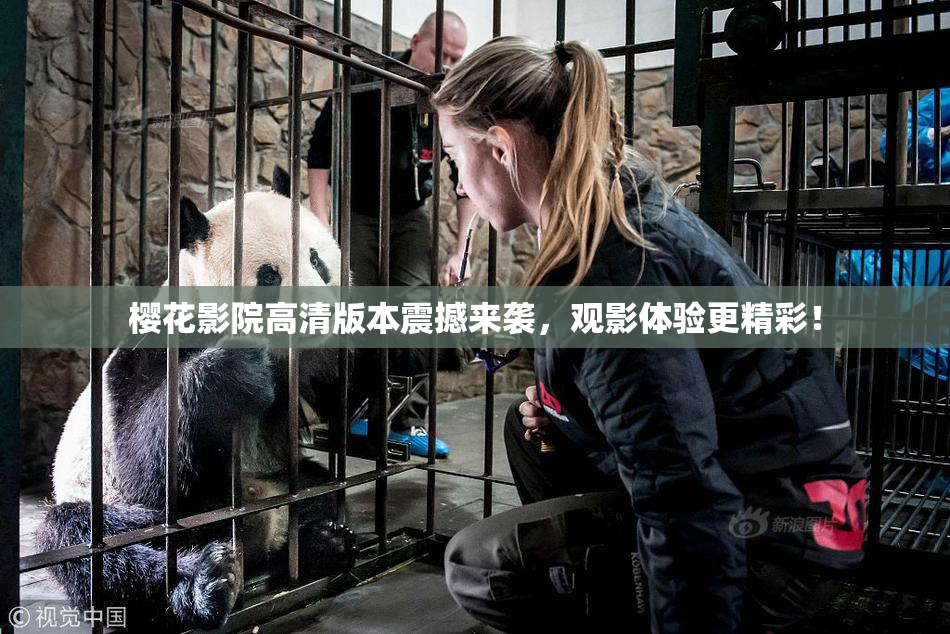 樱花影院高清版本震撼来袭，观影体验更精彩！