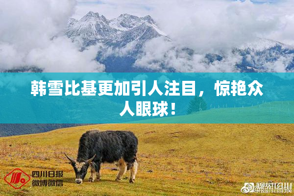 韩雪比基更加引人注目，惊艳众人眼球！