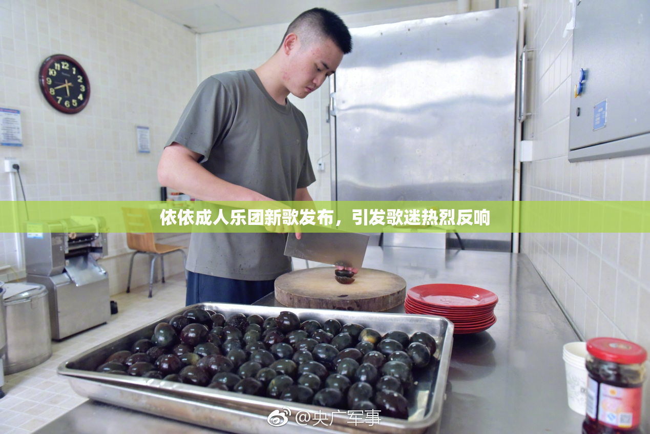 依依成人乐团新歌发布，引发歌迷热烈反响