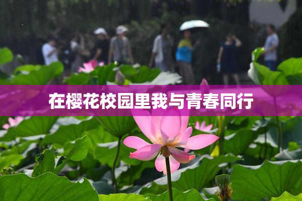 在樱花校园里我与青春同行