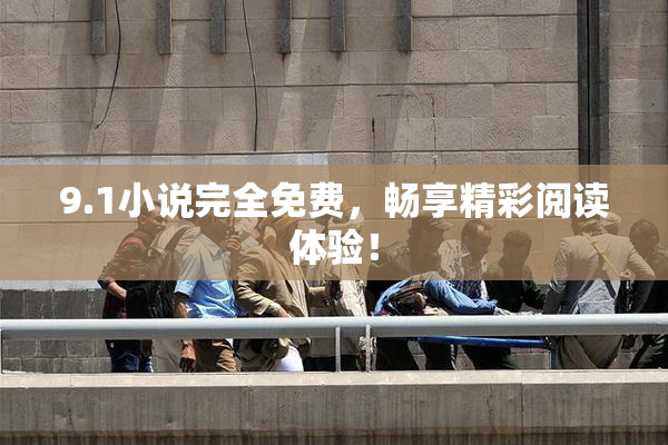 9.1小说完全免费，畅享精彩阅读体验！