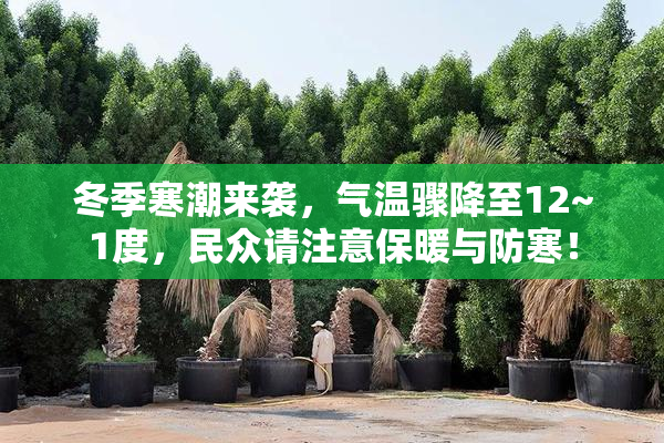 冬季寒潮来袭，气温骤降至12~1度，民众请注意保暖与防寒！