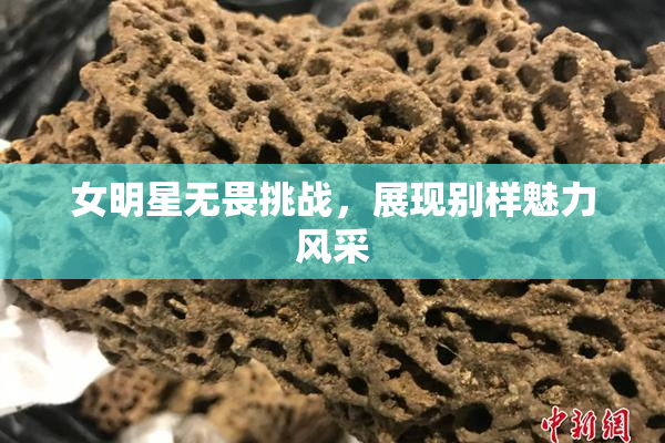 女明星无畏挑战，展现别样魅力风采