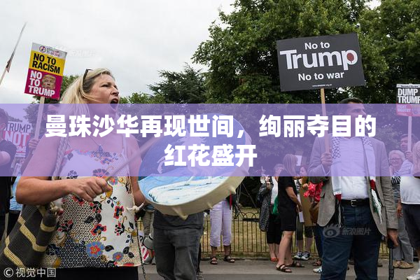 曼珠沙华再现世间，绚丽夺目的红花盛开