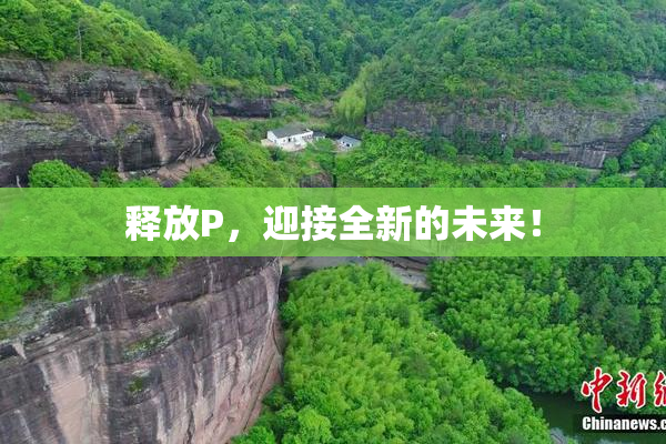 释放P，迎接全新的未来！