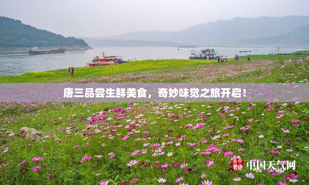 唐三品尝生鲜美食，奇妙味觉之旅开启！