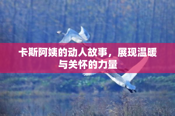 卡斯阿姨的动人故事，展现温暖与关怀的力量