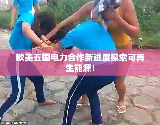欧美五国电力合作新进展探索可再生能源！