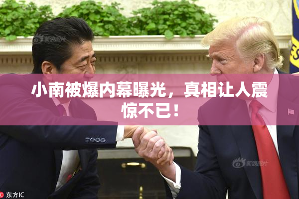 小南被爆内幕曝光，真相让人震惊不已！