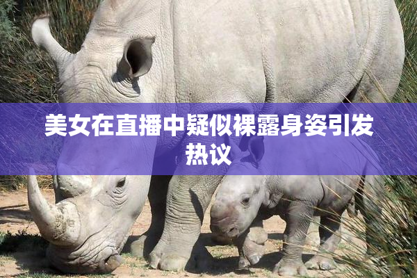 美女在直播中疑似裸露身姿引发热议