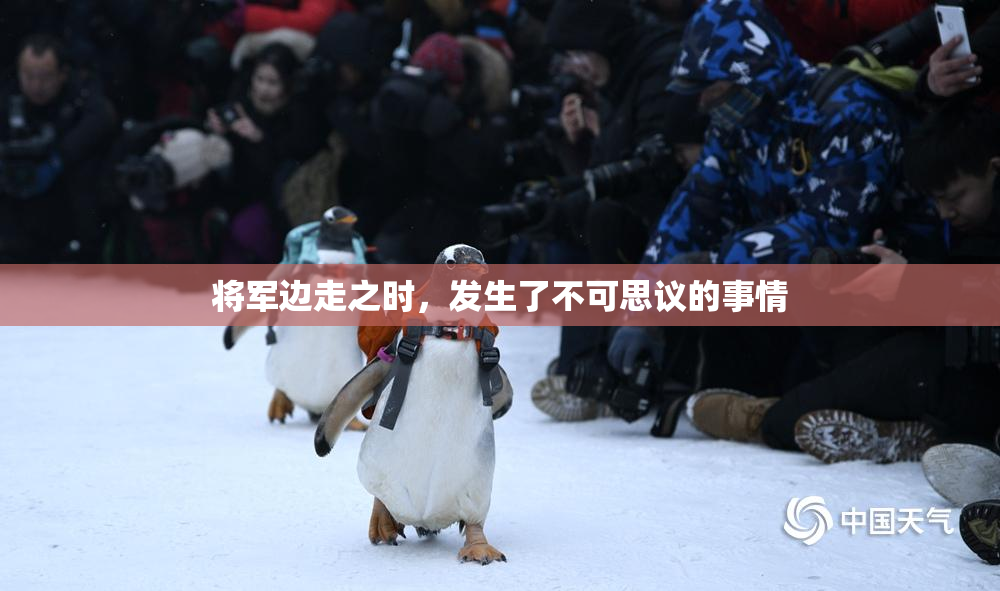 将军边走之时，发生了不可思议的事情