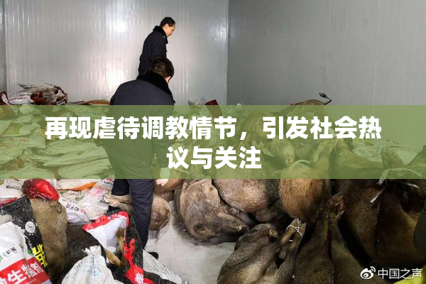 再现虐待调教情节，引发社会热议与关注