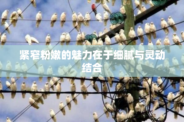紧窄粉嫩的魅力在于细腻与灵动结合