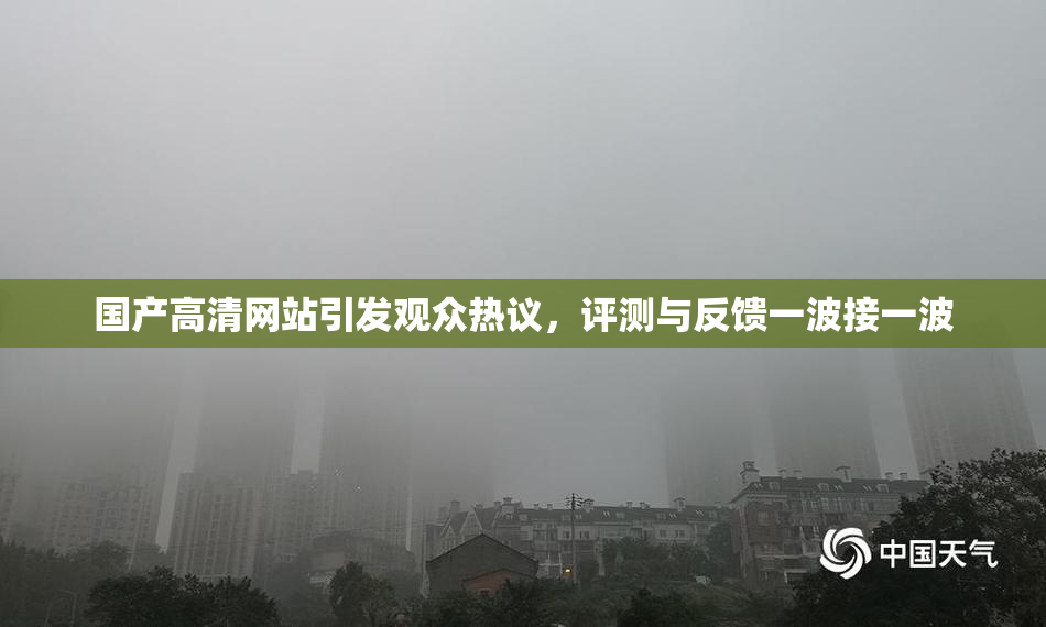 国产高清网站引发观众热议，评测与反馈一波接一波