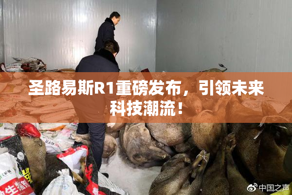 圣路易斯R1重磅发布，引领未来科技潮流！