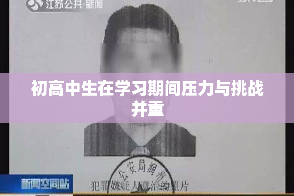 初高中生在学习期间压力与挑战并重