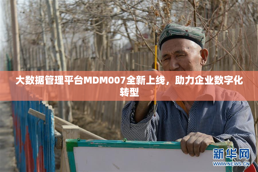 大数据管理平台MDM007全新上线，助力企业数字化转型