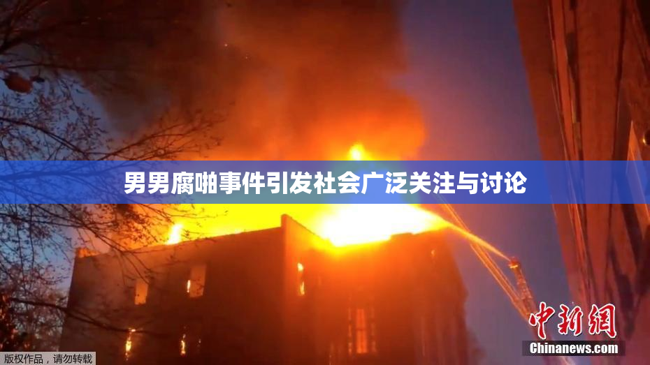 男男腐啪事件引发社会广泛关注与讨论