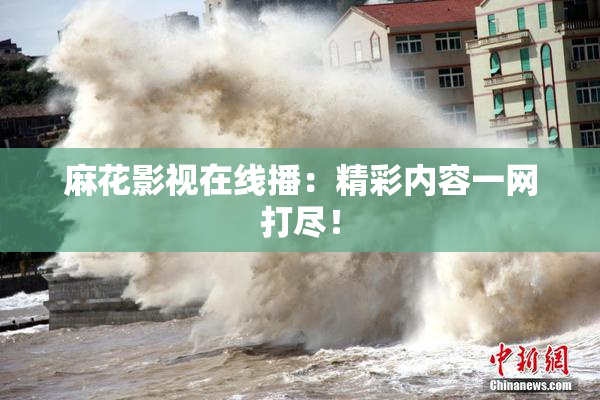 麻花影视在线播：精彩内容一网打尽！