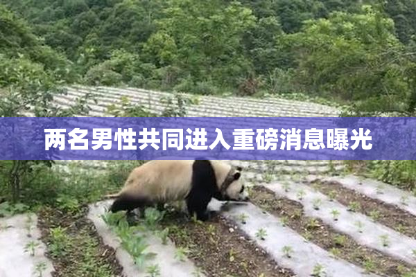 两名男性共同进入重磅消息曝光