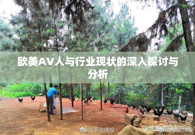 欧美AV人与行业现状的深入探讨与分析