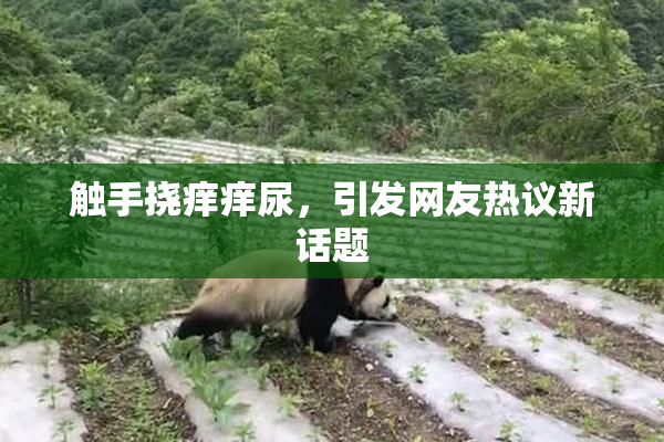 触手挠痒痒尿，引发网友热议新话题