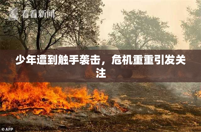 少年遭到触手袭击，危机重重引发关注