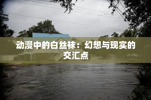 动漫中的白丝袜：幻想与现实的交汇点