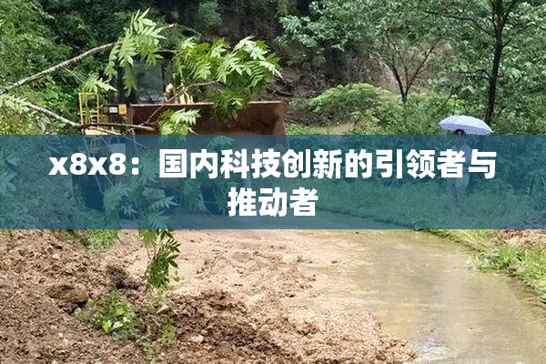 x8x8：国内科技创新的引领者与推动者