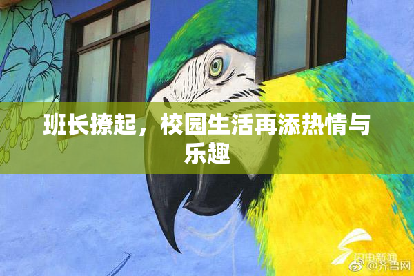 班长撩起，校园生活再添热情与乐趣