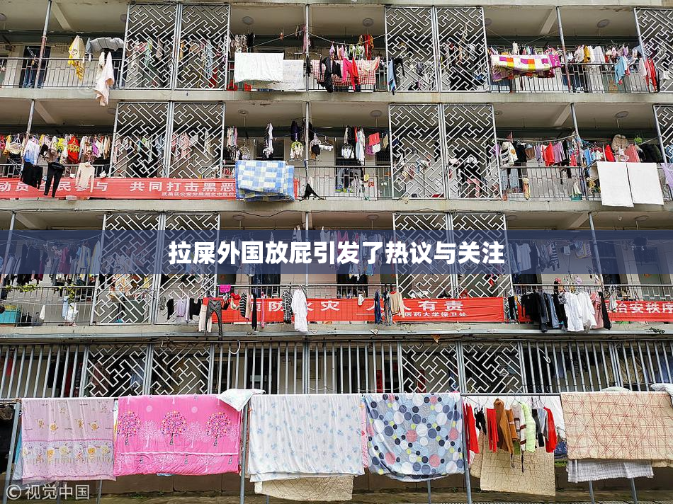 拉屎外国放屁引发了热议与关注