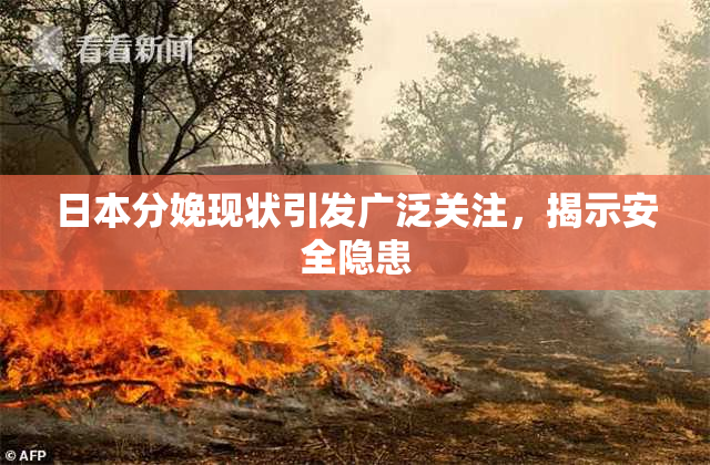 日本分娩现状引发广泛关注，揭示安全隐患