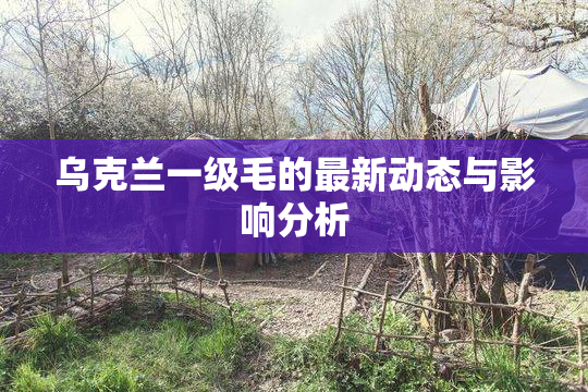 乌克兰一级毛的最新动态与影响分析