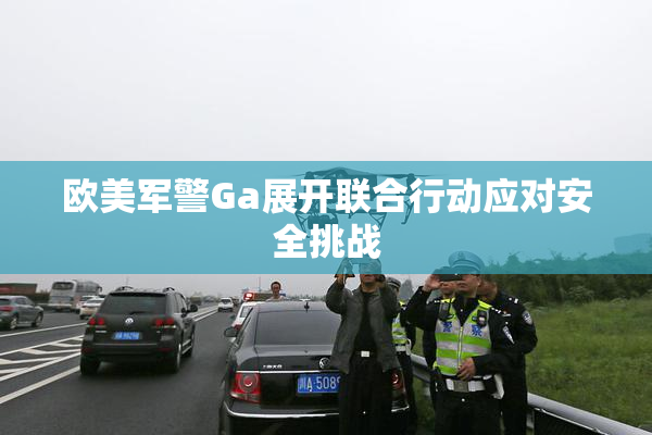 欧美军警Ga展开联合行动应对安全挑战