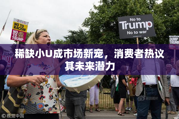 稀缺小U成市场新宠，消费者热议其未来潜力