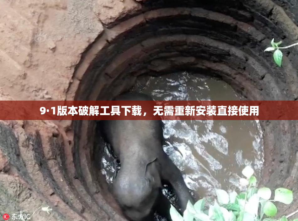 9·1版本破解工具下载，无需重新安装直接使用