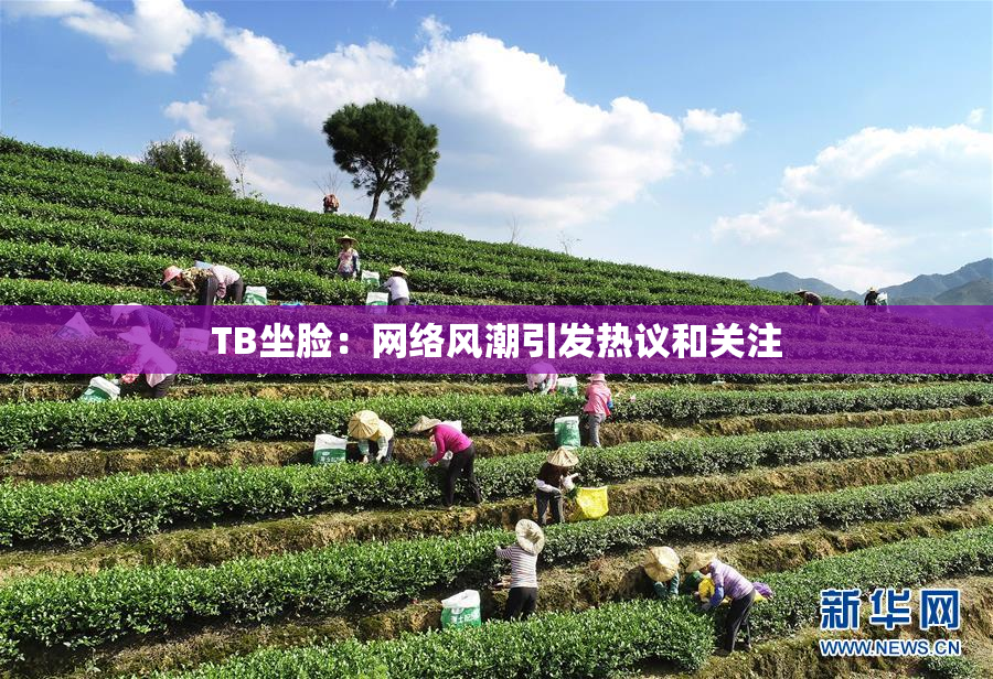 TB坐脸：网络风潮引发热议和关注