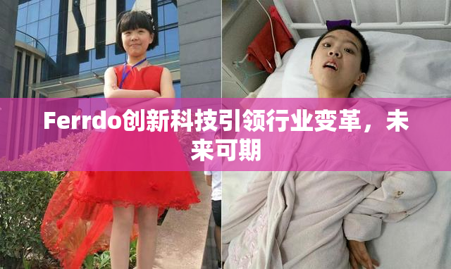 Ferrdo创新科技引领行业变革，未来可期