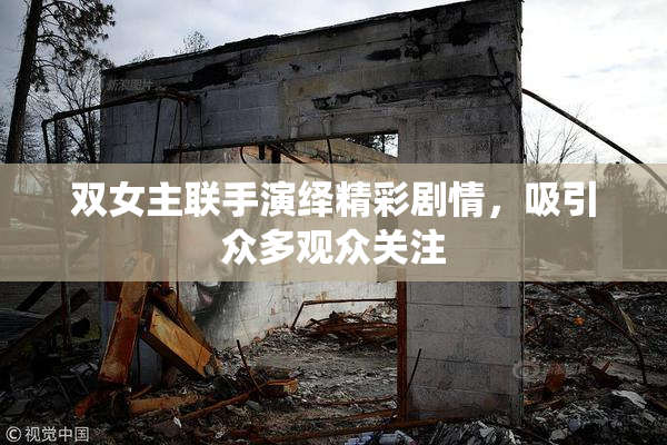 双女主联手演绎精彩剧情，吸引众多观众关注