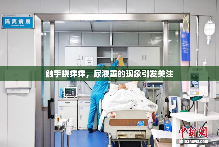 触手挠痒痒，尿液重的现象引发关注