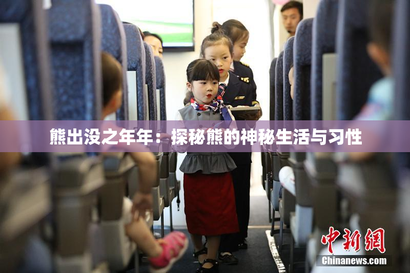 熊出没之年年：探秘熊的神秘生活与习性