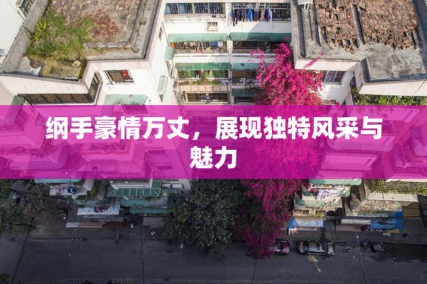 纲手豪情万丈，展现独特风采与魅力