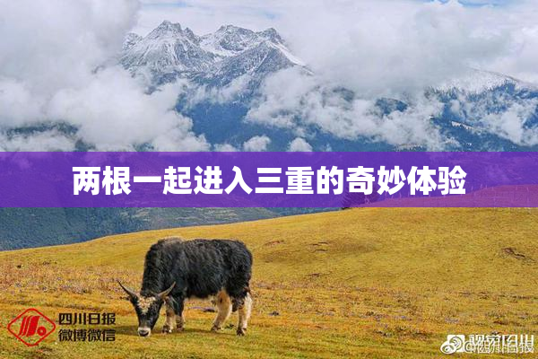 两根一起进入三重的奇妙体验