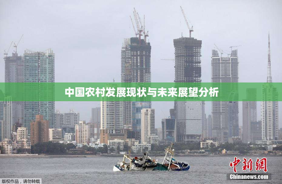 中国农村发展现状与未来展望分析